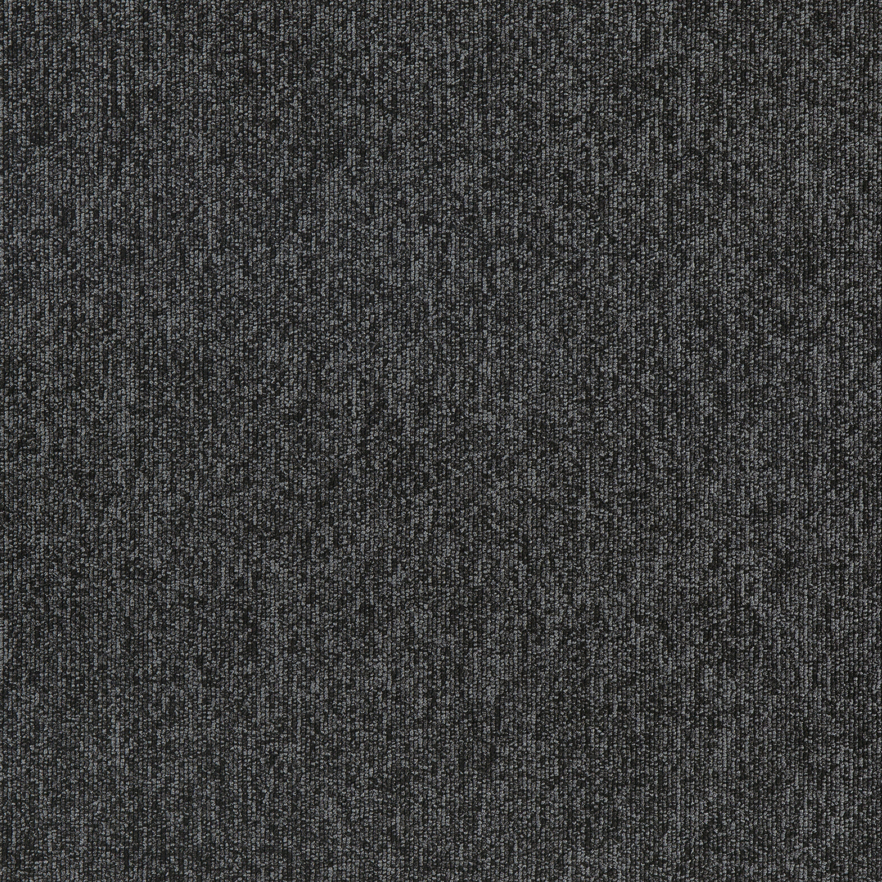 Grey Pearl